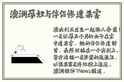桃花岛盒子4.0破解版